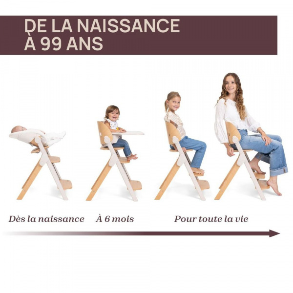 Chaise haute meraviglia fossil Chicco