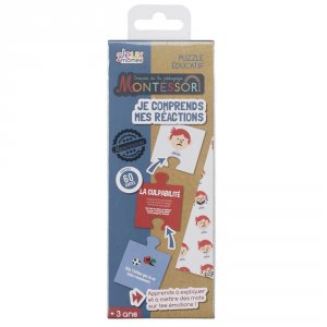 Jeu je comprends les emotions Cmp