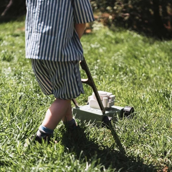 Tondeuse à gazon dantoy Dantoy