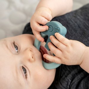 Anneau d'activités Done by deer