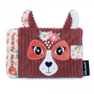 Album photo Les deglingos