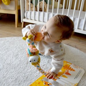 Peluche carillon cyranos le renard Les deglingos