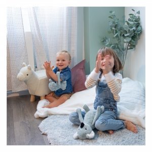 Peluche les ptipotos koala et son bébé trankilou menthe Les deglingos