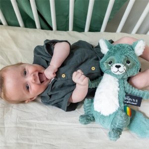 Peluche les ptipotos raton laveur netoitou vert Les deglingos