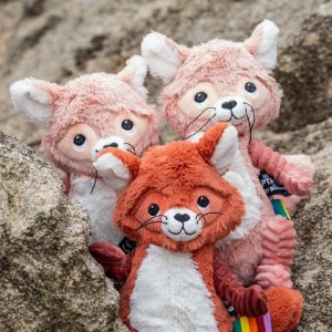 Peluche les ptipotos raton laveur netoitou rose Les deglingos