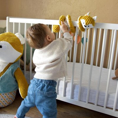 Spirale d'activités cyranos le renard