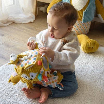 Cube d'activités cyranos le renard