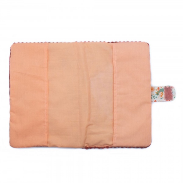 Protège carnet de santé spéculos le tigre Les deglingos