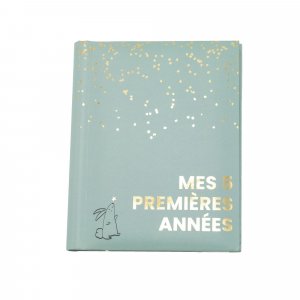 Livre de naissance mes 5 premières années sauge gold Domiva