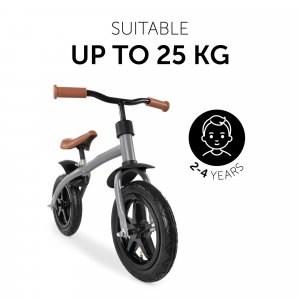 Draisienne e z rider 12 matt grey Hauck