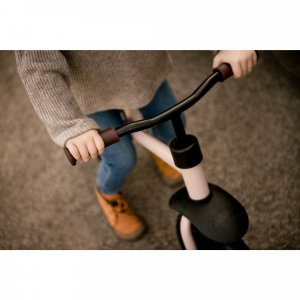 Draisienne e z rider 12 matt grey Hauck