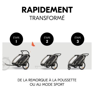 Remorque de vélo dryk duo light grey