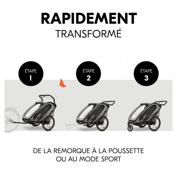 Remorque de vélo dryk duo light grey Hauck