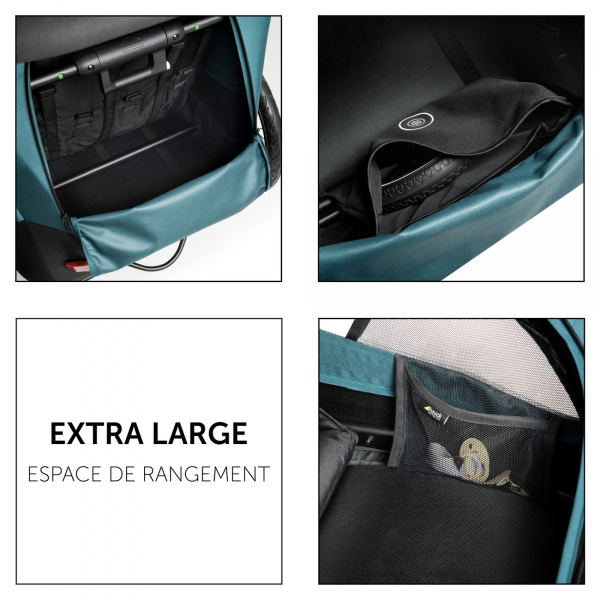 Remorque à vélo dryk duo ocean green Hauck