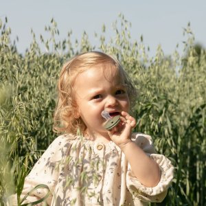 Pack de 2 sucettes de lux silicone taille unique woodchuck et blush Bibs