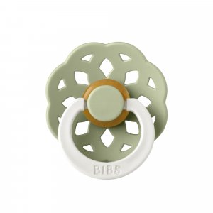 Pack de 2 sucettes bohème caoutchouc phosphorescente 0-6 mois sage et cloud Bibs