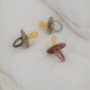 Pack de 2 sucettes colour anatomique 6 mois+ Bibs