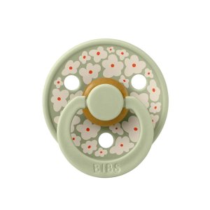 Pack de 2 sucettes colour caoutchouc jasmine 6 mois+ sage mix Bibs