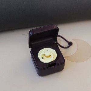 Boîte à tétines plum Bibs