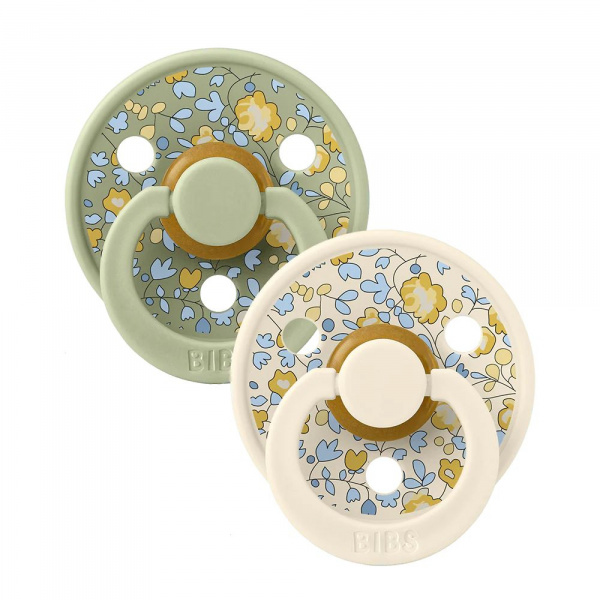 Pack de 2 sucettes colour liberty 0-6 mois beige et vert Bibs