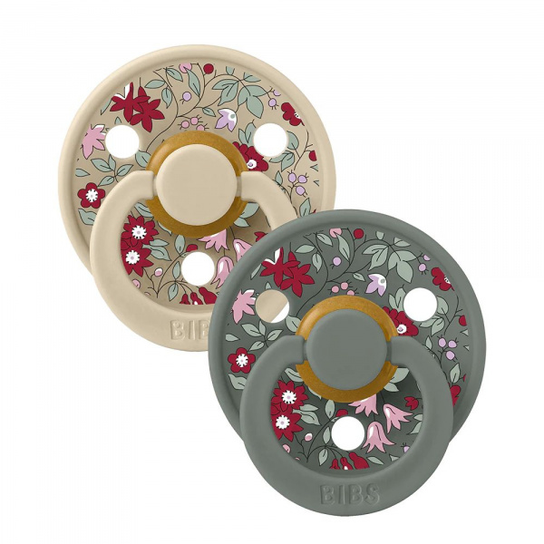 Pack de 2 sucettes colour liberty 0-6 mois beige et vert Bibs