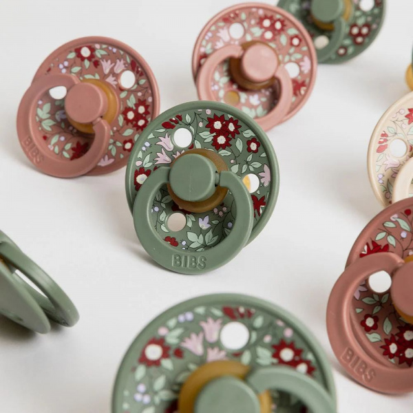Pack de 2 sucettes colour liberty 0-6 mois beige et vert Bibs