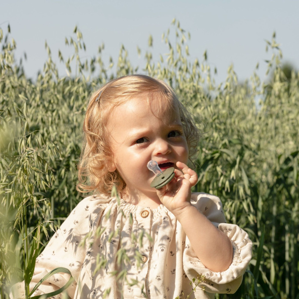 Pack de 2 sucettes de lux silicone taille unique woodchuck et blush Bibs