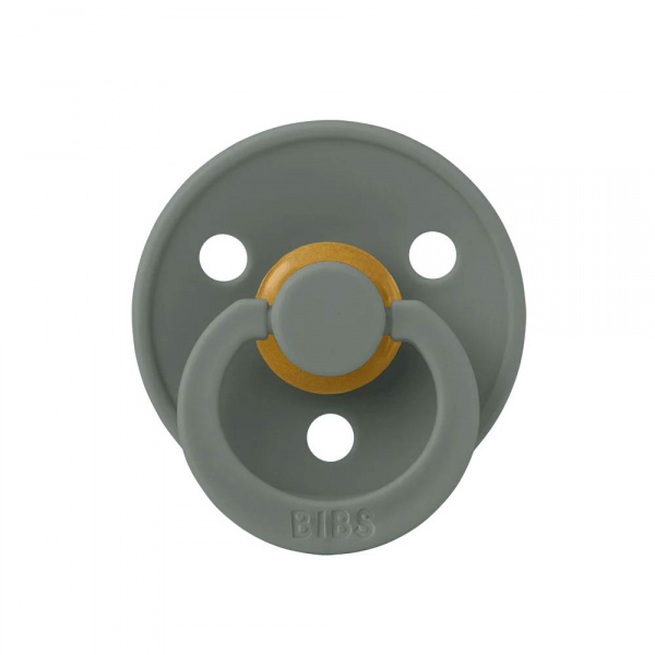 Pack de 2 sucettes colour caoutchouc symétrique 6 mois+ vanilla et pine Bibs