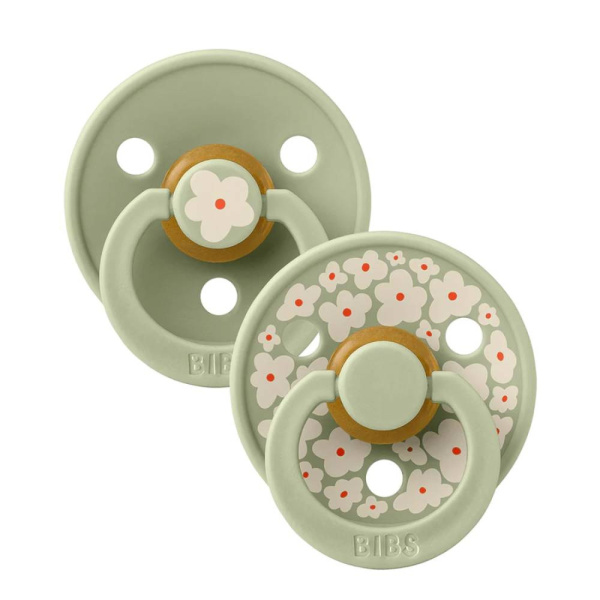 Pack de 2 sucettes colour caoutchouc jasmine 6 mois+ sage mix Bibs
