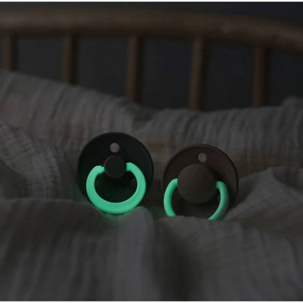 Pack de 2 sucettes colour caoutchouc phosphorescente 6 mois+ blush et woodchuck Bibs