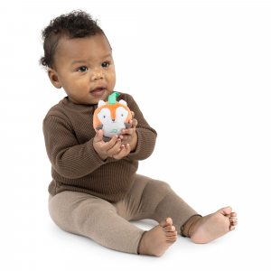 Arche de jouets bébé pour poussette ou siege auto, nally & friends Ingenuity