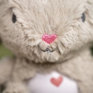 Veilleuse bébé, doudou lapin, peluche sylvie, musicale, lumineuse, bruits blanc Ingenuity