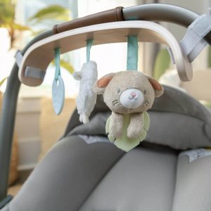 Arche de jeu wonder & wood carrier Ingenuity