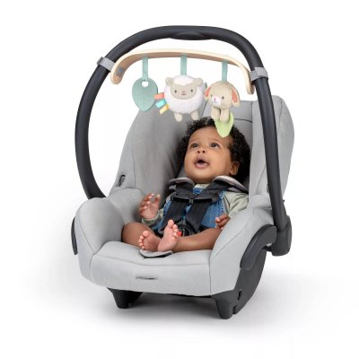 Arche de jeu wonder & wood carrier