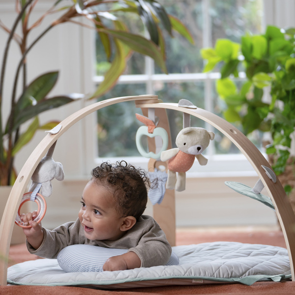 Tapis d'éveil avec arche bébé cozy spot loamy Ingenuity