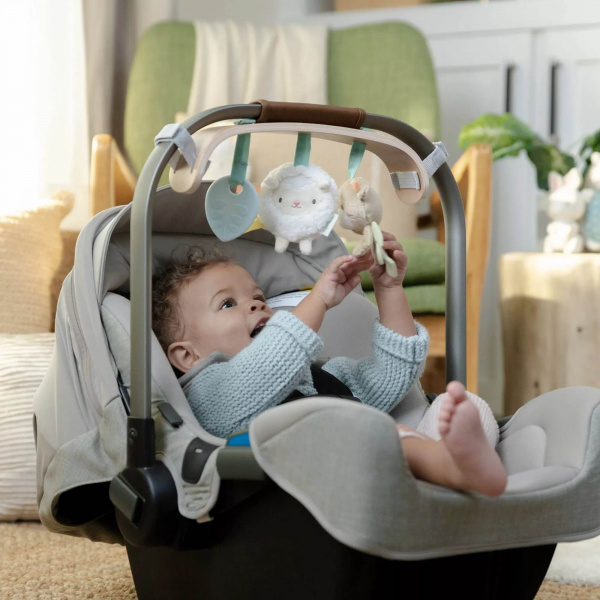 Arche de jeu wonder & wood carrier Ingenuity