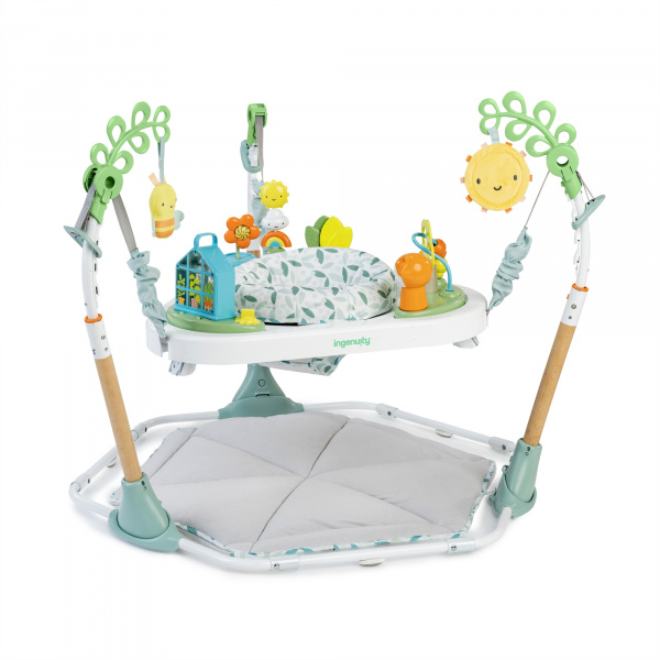 Centre d'activité à rebond 6 en 1 Ingenuity