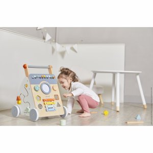 Chariot de marche multi-activités sweet cocoon Janod