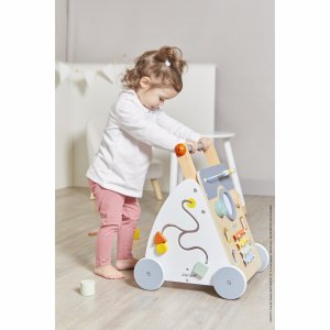 Chariot de marche multi-activités sweet cocoon Janod