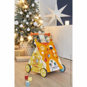 Chariot de marche multi-activités chat Janod