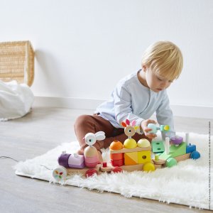 Train géant à tirer en bois zigolos Janod