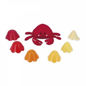 Jouet de bain éponge bernard et sa coquille Janod