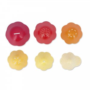 Jouet de bain éponge bernard et sa coquille Janod