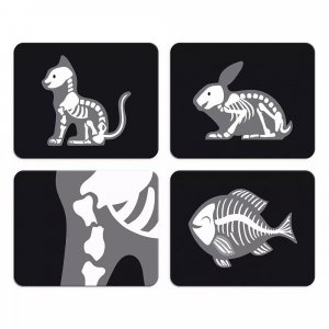 Mallette du vétérinaire Janod