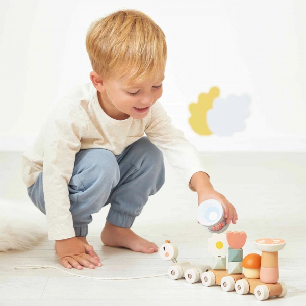 Train en bois à tirer tropik Janod