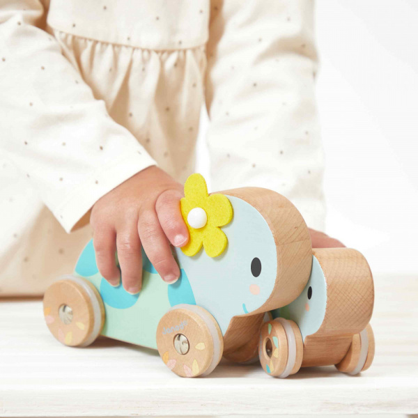 Set de jouet en bois 2 tortues à pousser pure Janod