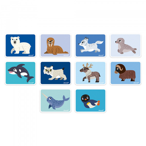 Jeu magnéti'book dinosaures Janod