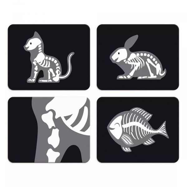 Mallette du vétérinaire Janod