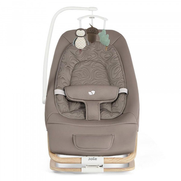 Transat balancelle 2 en 1 avec arche de jeux dreamer strata acorn Joie