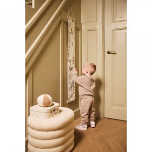 Toise murale Jollein